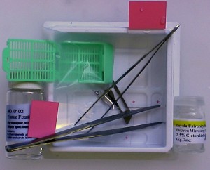 Renal needle biopsy triadge kit